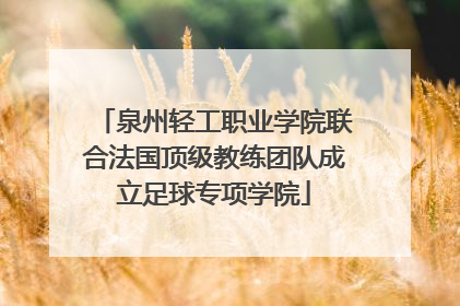 泉州轻工职业学院联合法国顶级教练团队成立足球专项学院